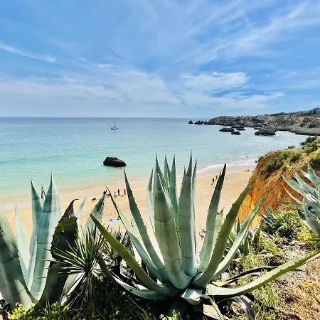 Limoeiro - Shopping Center 50m - Modern * Portimao