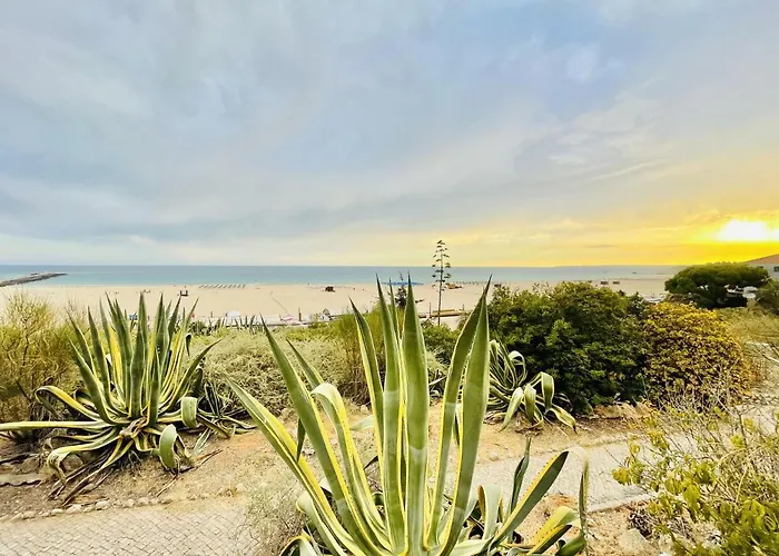 Limoeiro - Shopping Center 50m - Modern Apartment