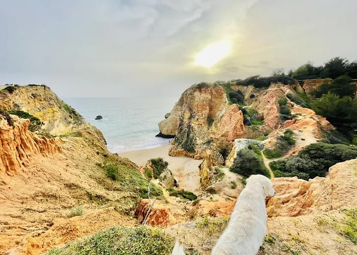 Limoeiro - Shopping Center 50m - Modern Apartment